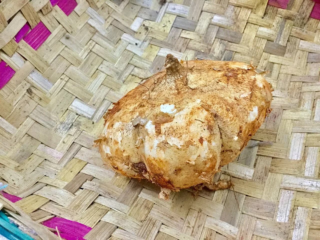 Foto da receita: Crepioca de Queijo - Mistura de ovo com goma de tapioca que vira uma panqueca fina e flexível na frigideira, recheada com queijo. O lanche fitness mais popular do Brasil, sem glúten e pronto em 5 minutos.