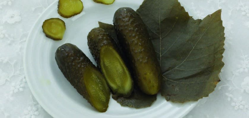 Foto da receita: Pepino na Conserva em Folha de Uva - Receita de família compartilhada por Rosemari Glatz no projeto cultural da UNIFEBE.